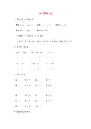 六年级语文上册 第六单元 第20课 三黑和土地同步练习册 新人教版-新人教版小学六年级上册语文试题.docx
