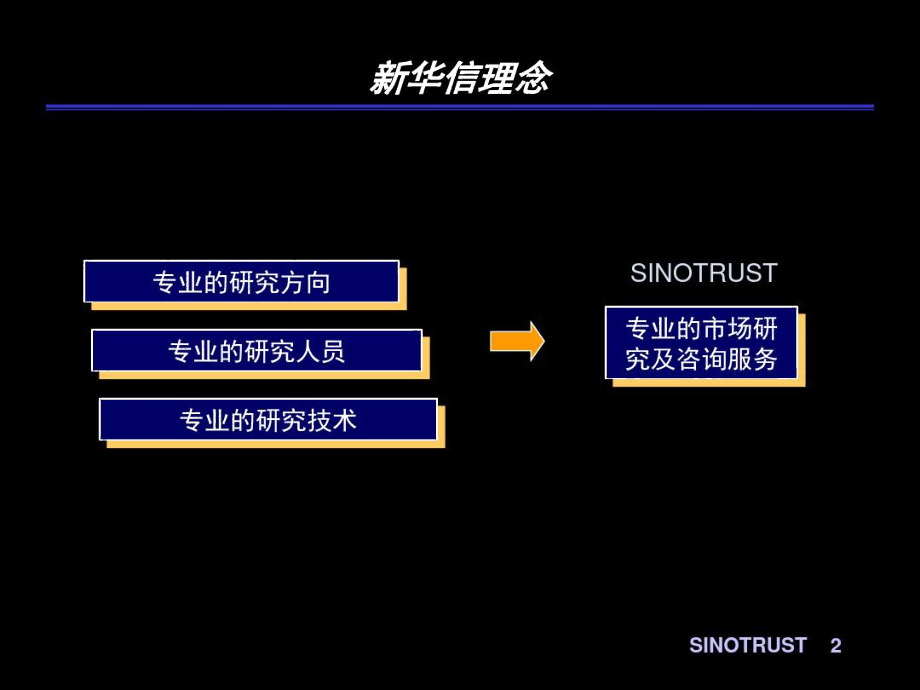 新华信市场研究及咨询.docx_第2页