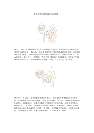 胎儿发育四维彩超完整全过程图.docx