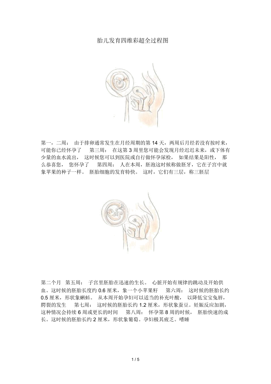 胎儿发育四维彩超完整全过程图.docx_第1页