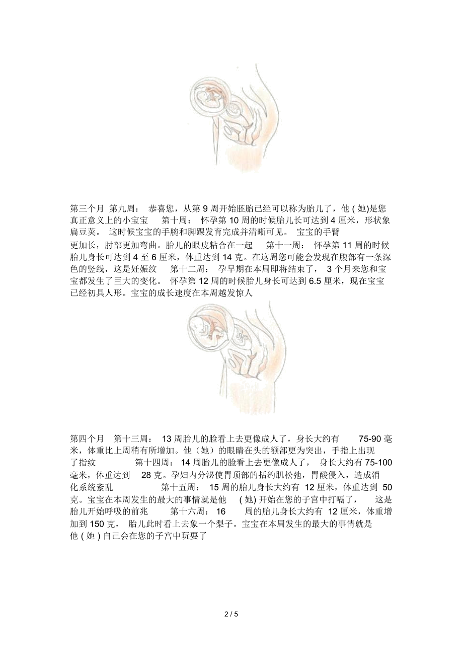 胎儿发育四维彩超完整全过程图.docx_第2页