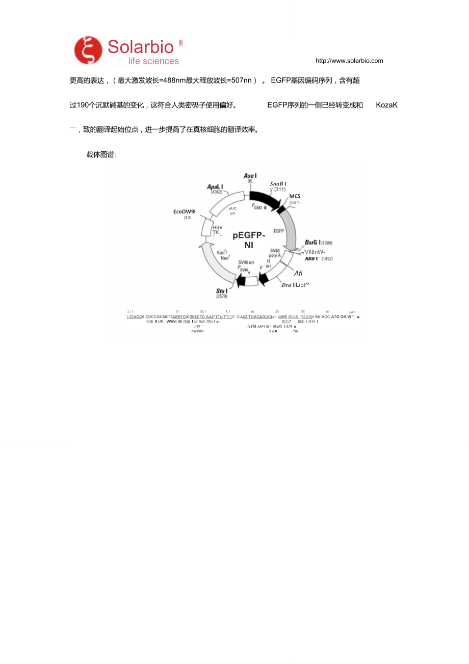 pEGFP-N1哺乳细胞表达载体使用说明.doc_第3页