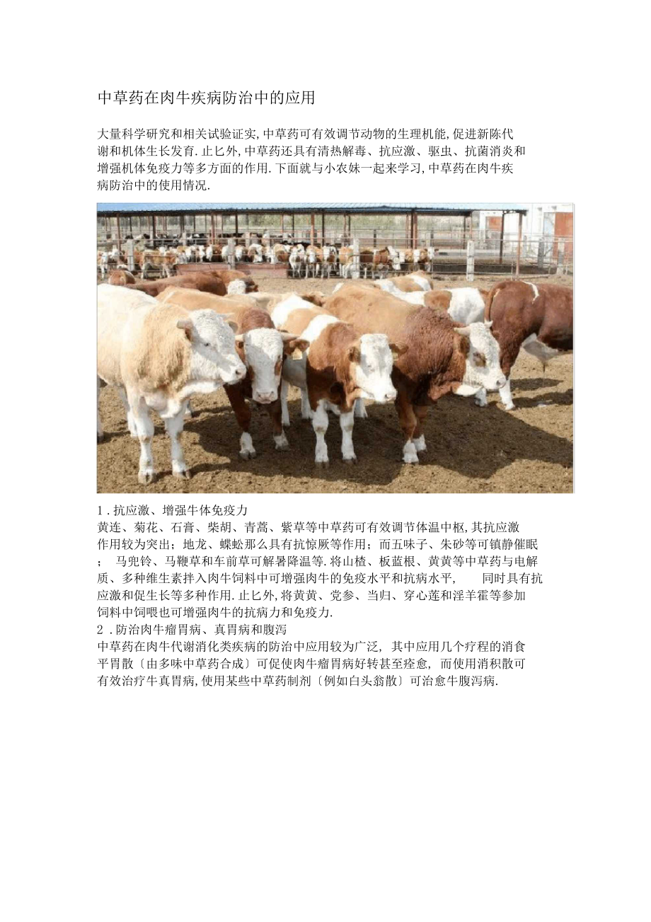 中草药在肉牛疾病防治中的应用.docx_第1页