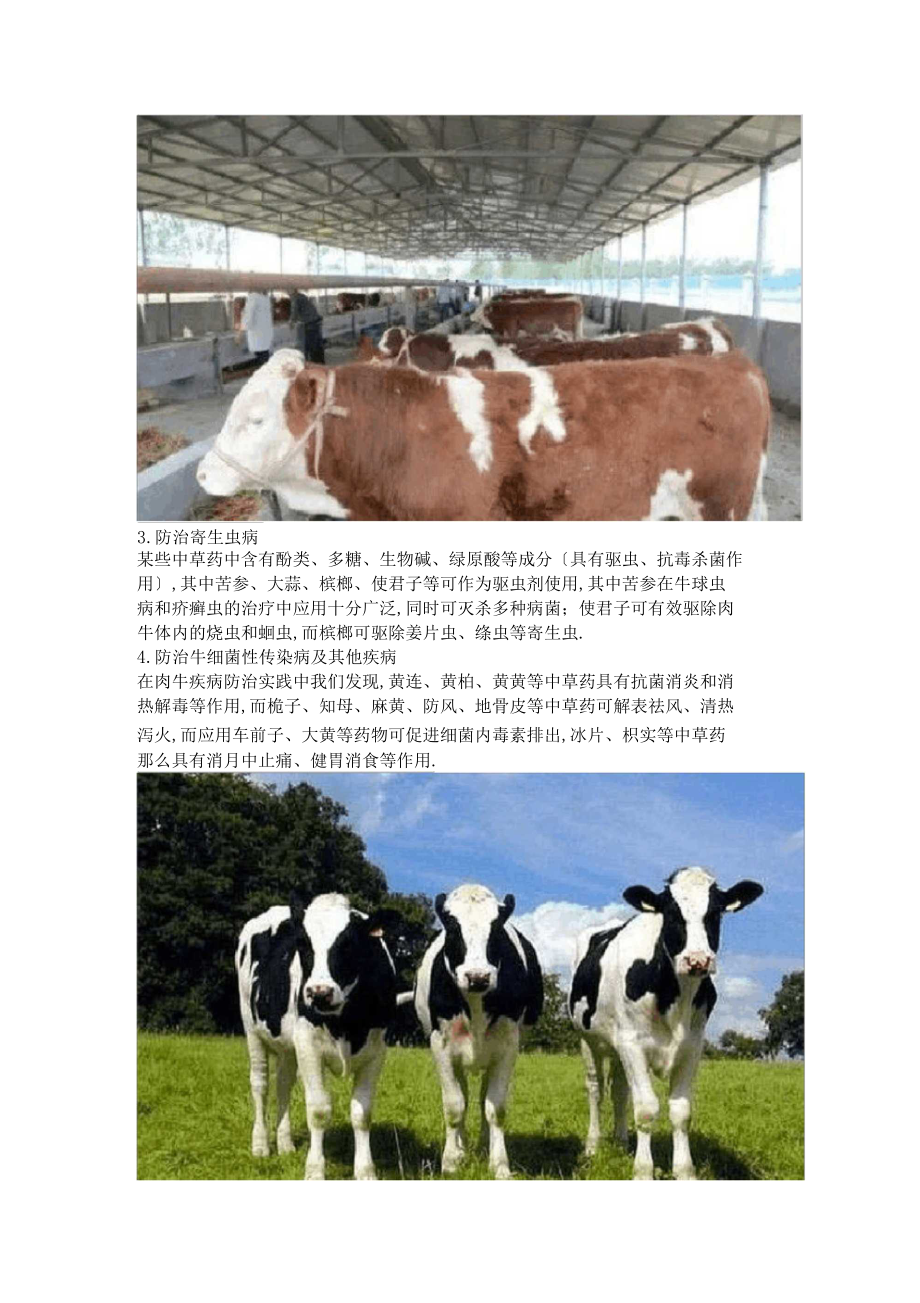 中草药在肉牛疾病防治中的应用.docx_第2页