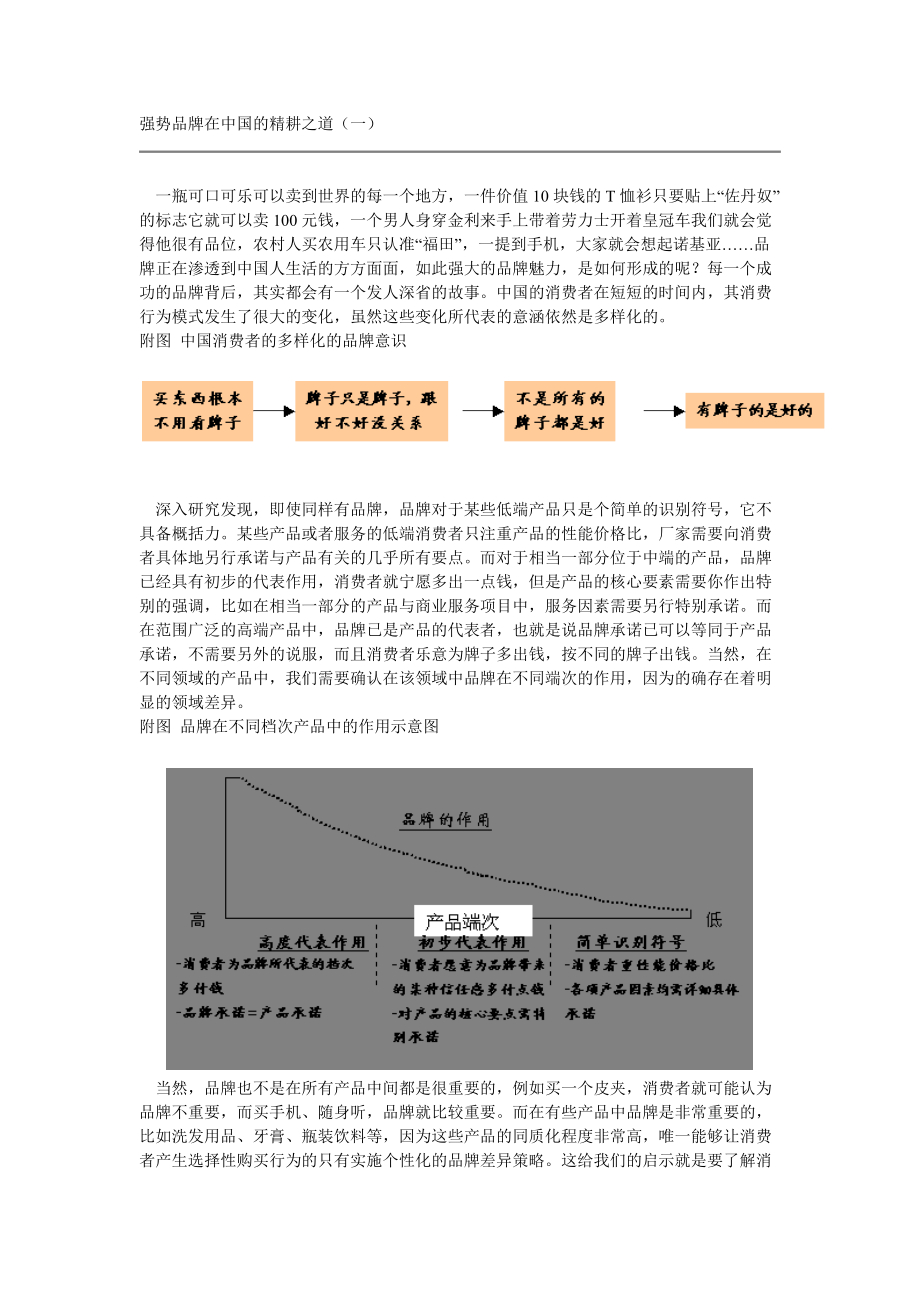 强势品牌在中国的精耕之道（一）.docx_第1页