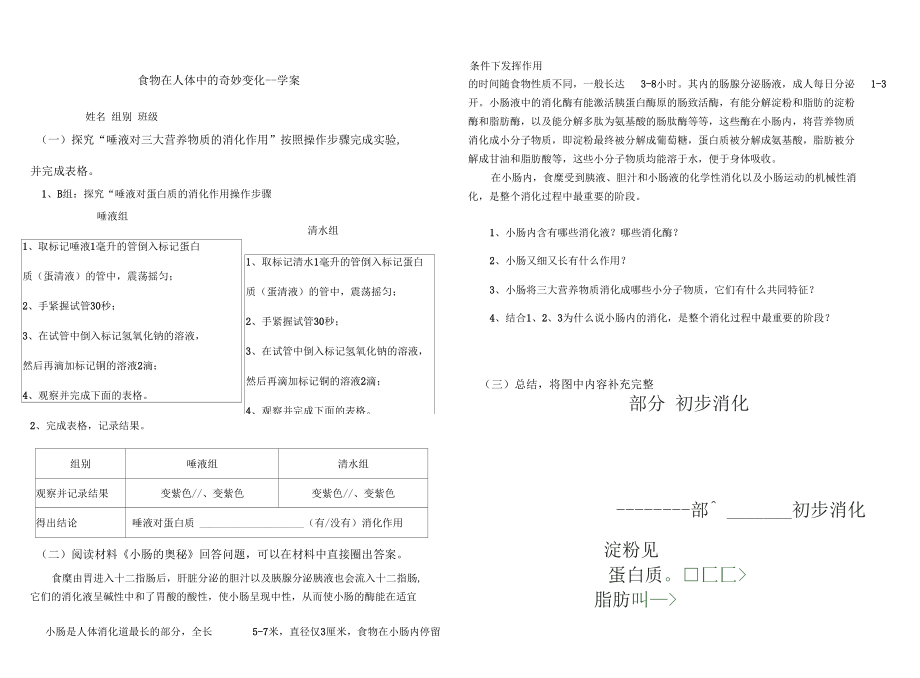 第三节人和动物的营养.docx_第2页