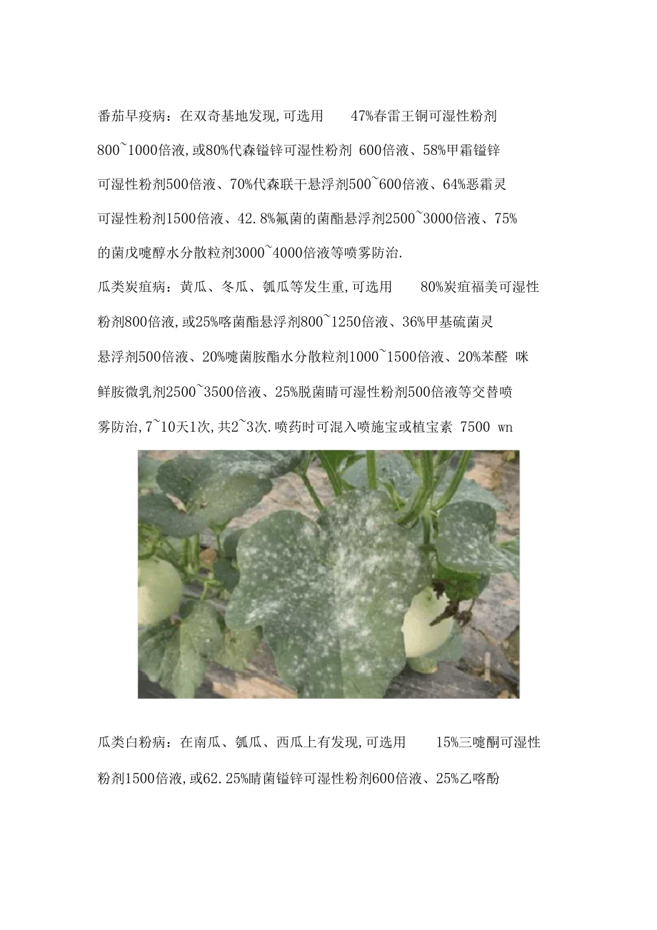 八月份蔬菜主要病虫害发生及药剂防治要点.docx_第3页