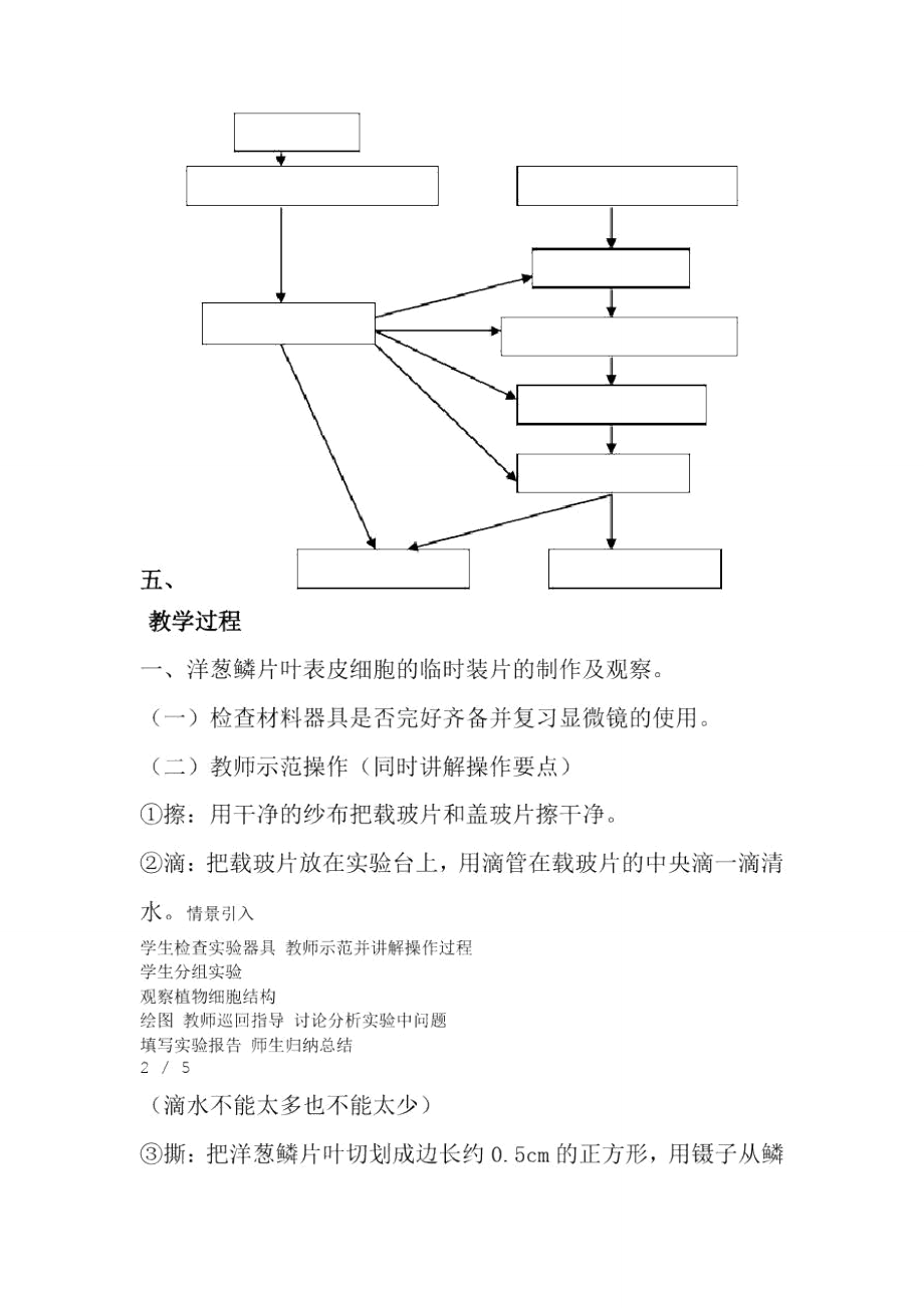 实验五洋葱鳞片叶内表皮细胞临时装片的制作雨观察.doc_第2页