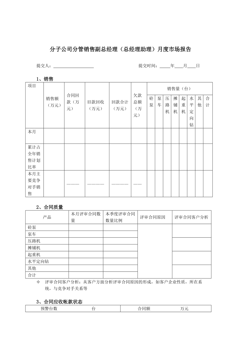 分子公司分管销售副总经理（总经理助理）月度市场报告.docx_第1页