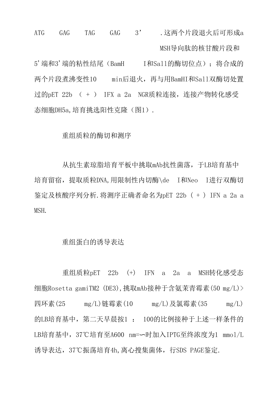 导向性IFNα2aαMSH基因的克隆表达纯化及鉴定.docx_第3页