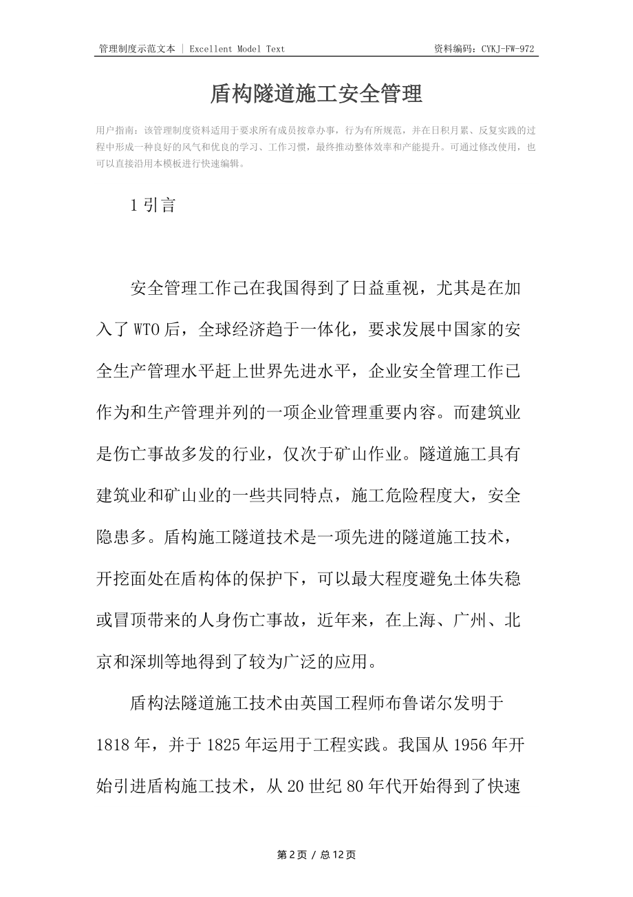 盾构隧道施工安全管理.docx_第2页