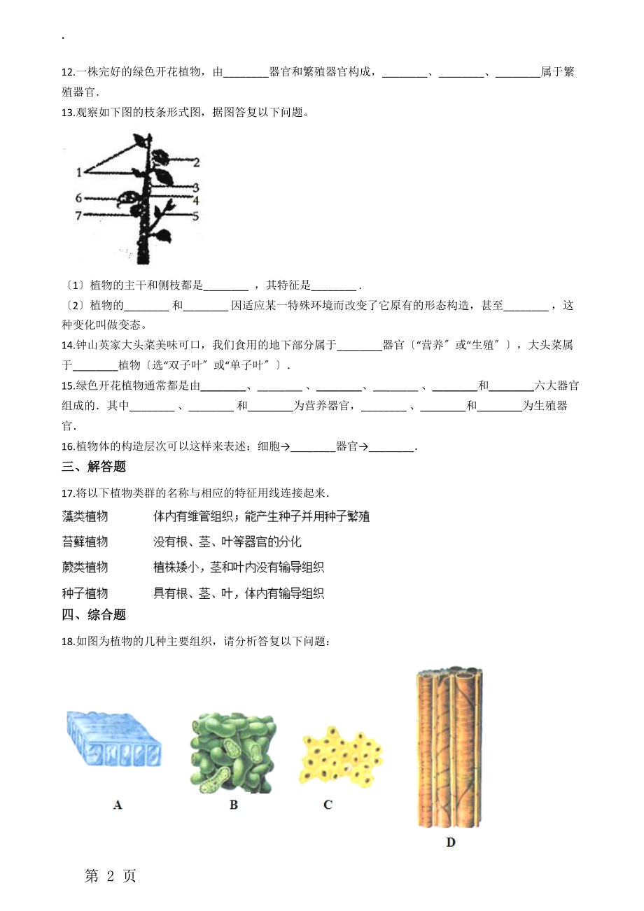 鲁教版五四制六年级上册生物 2.3.3植物体的层次结构 同步测试.docx_第2页