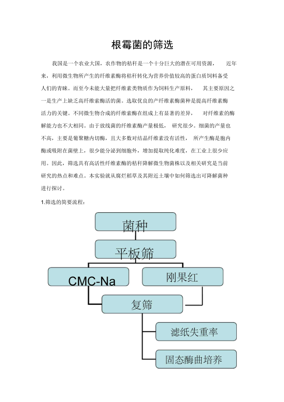 根霉菌的筛选.doc_第1页