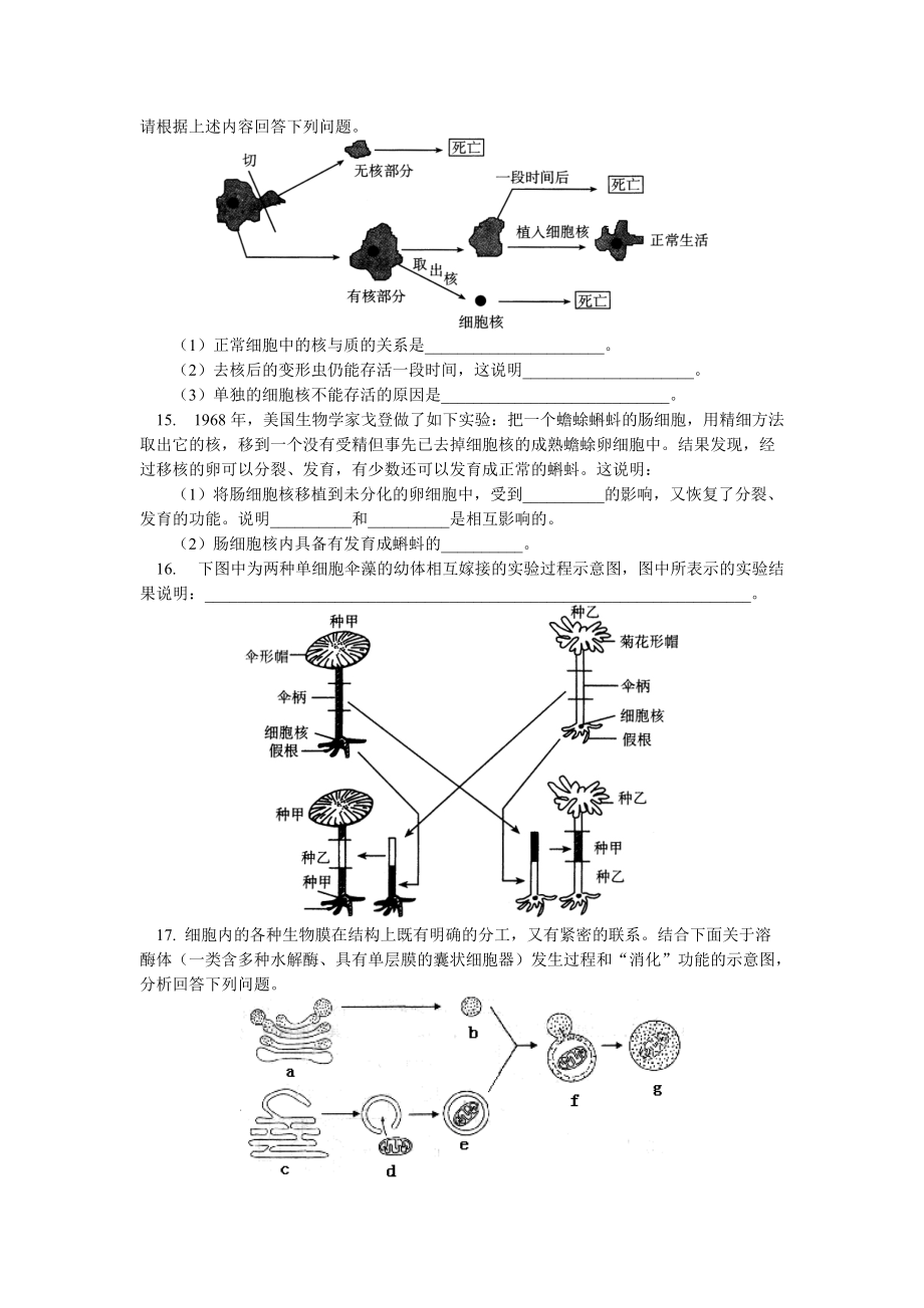 高二数学寒假专题——细胞的结构和功能同步练习 新人教版.doc_第3页