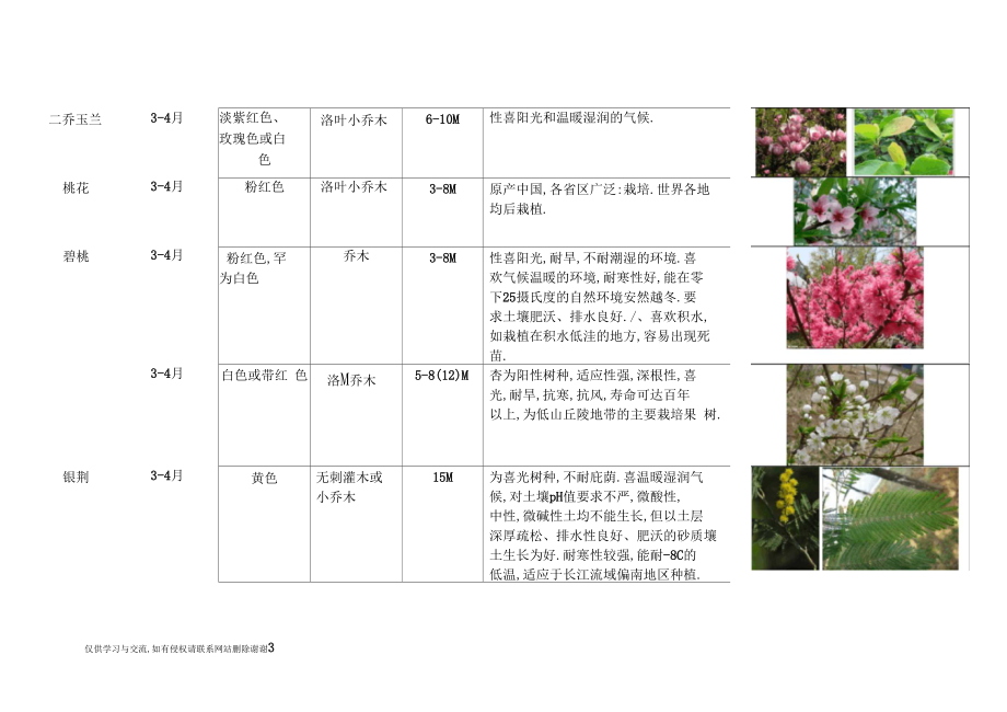 最新1开花乔木材料表汇总.docx_第3页