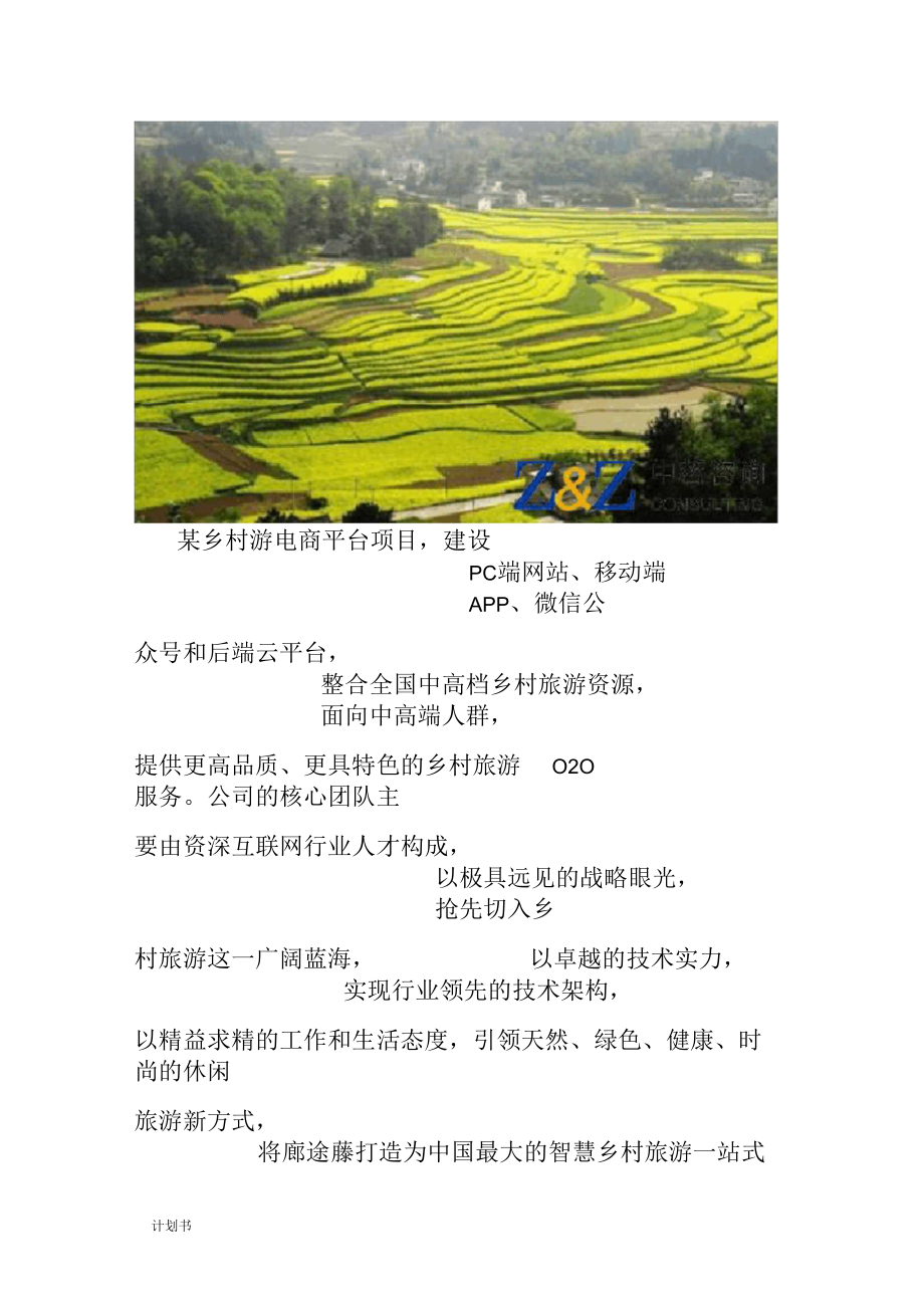 电商平台商业计划书.docx_第2页