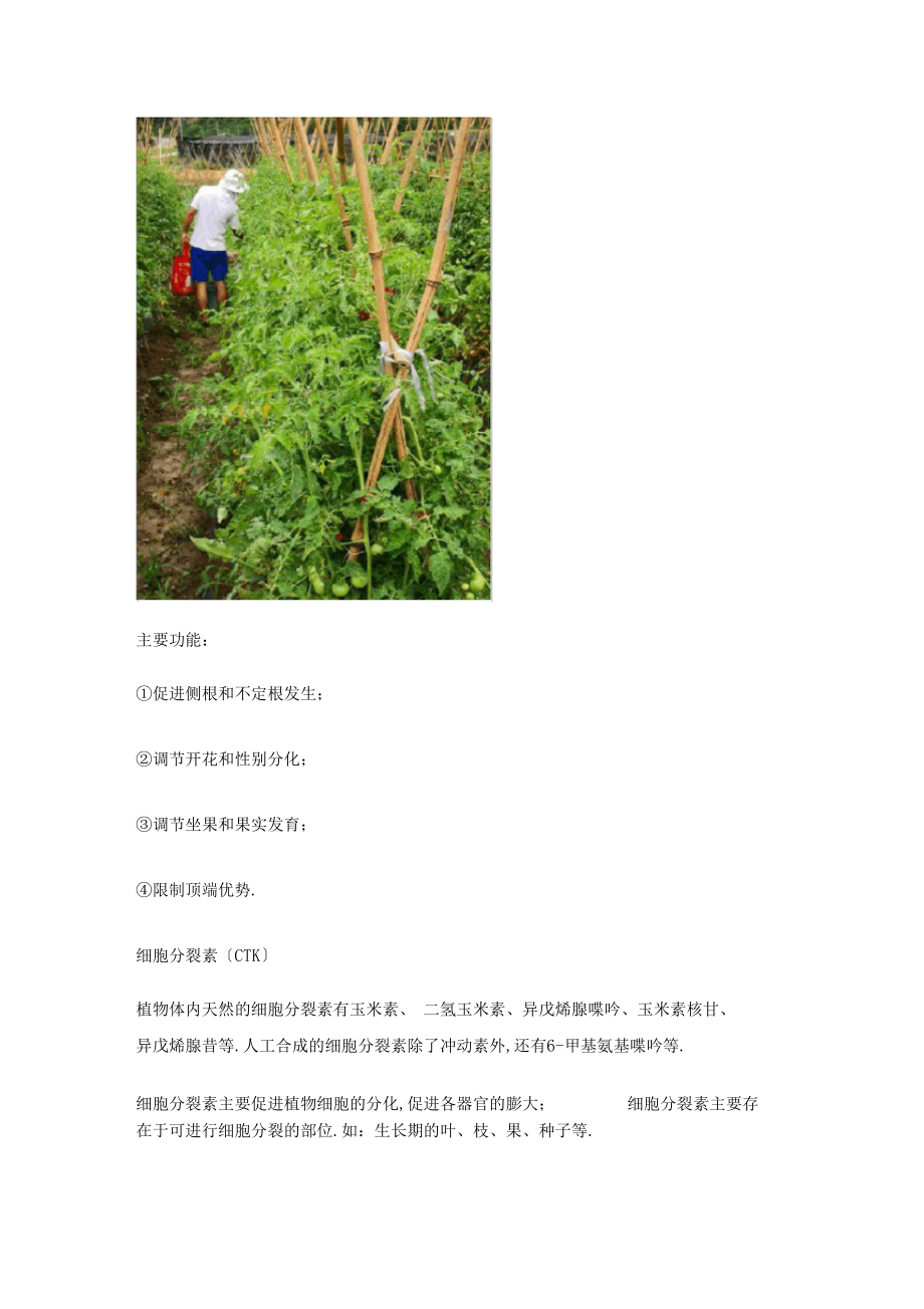 植物激素的介绍和功能.docx_第2页