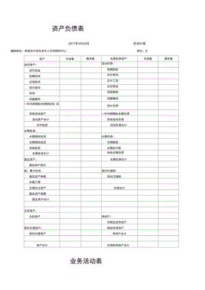 民非资产负债表、业务活动表、现金流量表.doc