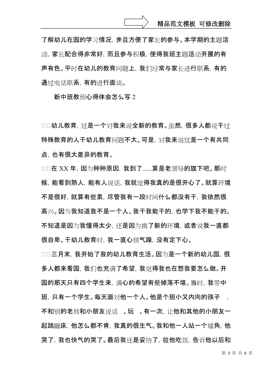 新中班教师心得体会怎么写.docx_第3页