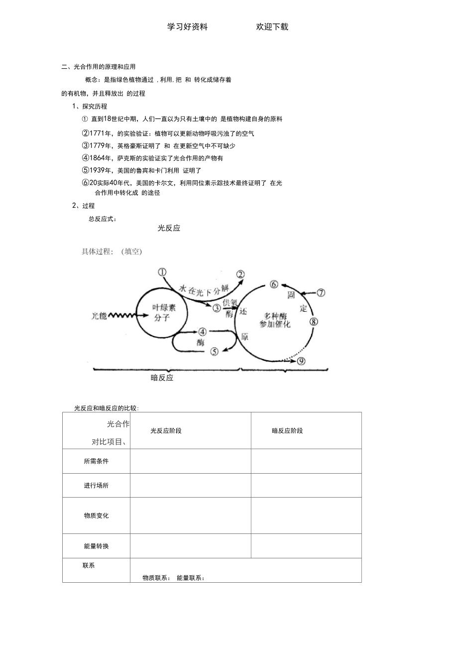 光合色素的提取和分离以及光合作用的过程教案.docx_第3页