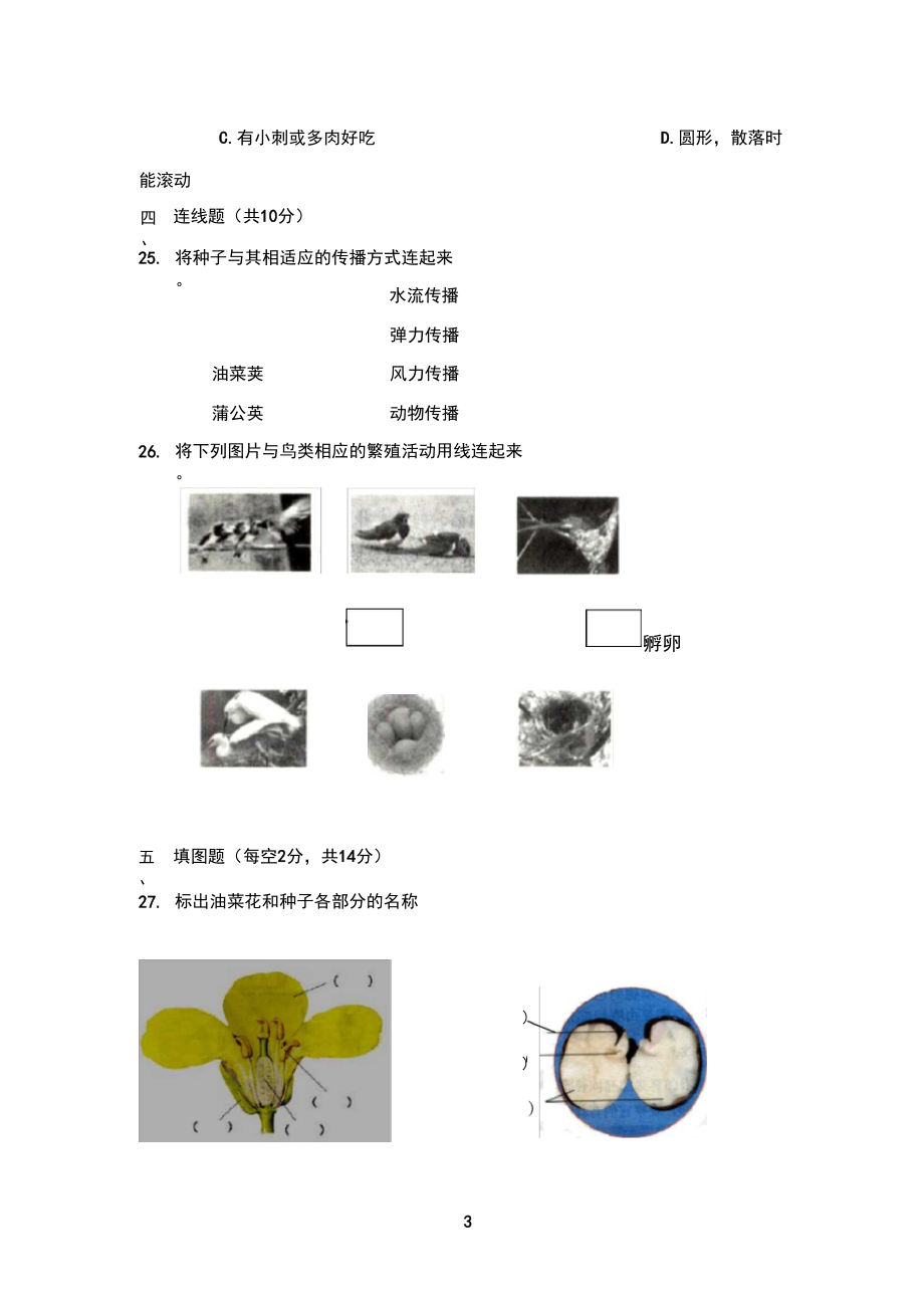 2020四年级科学下册期中检测试卷(含答案)(2).docx_第3页