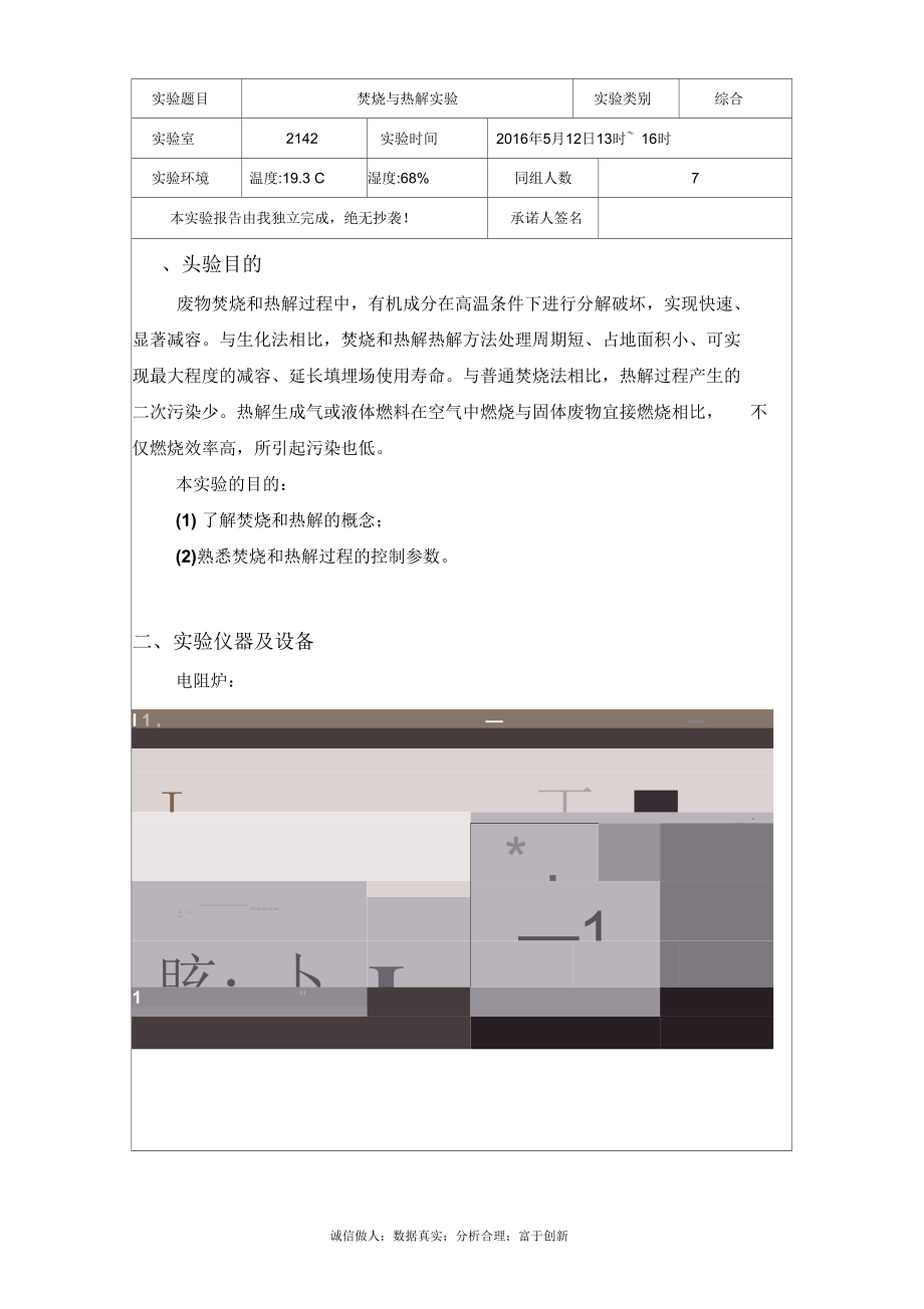 焚烧与热解-东华大学环境学院大三实验报告.docx_第2页