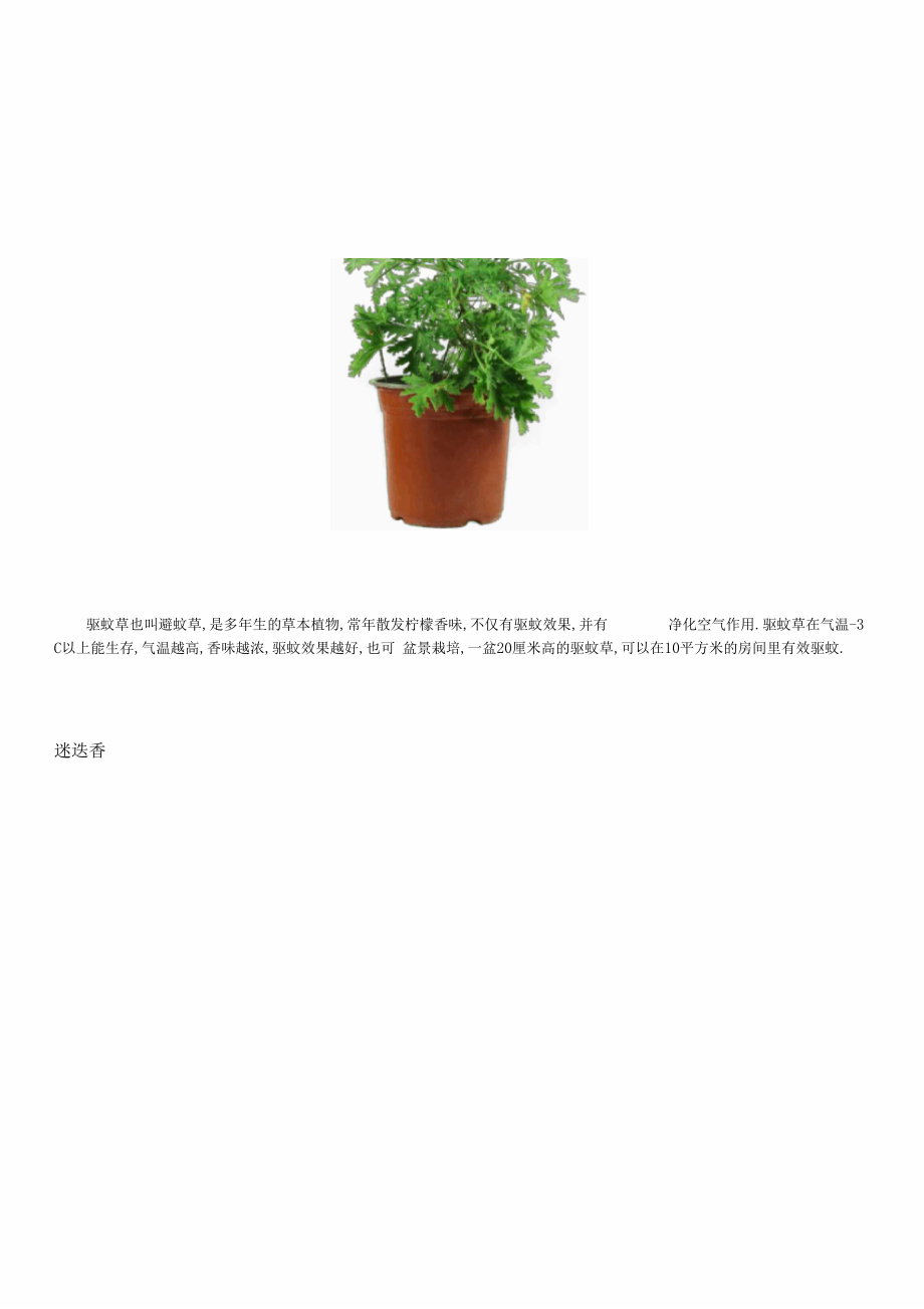 这些植物可以驱蚊.docx_第2页