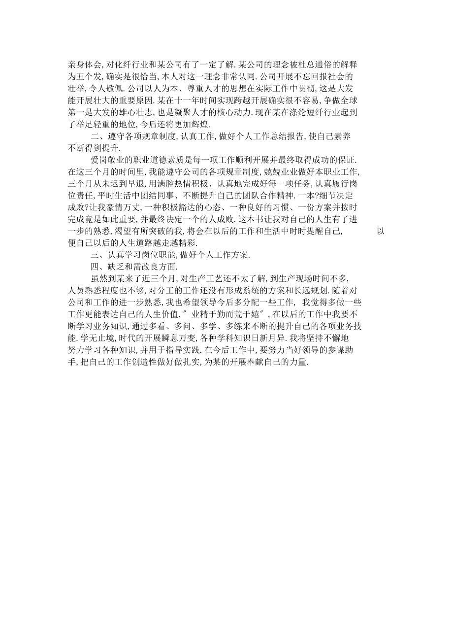 论文个人工作总结范文.docx_第2页