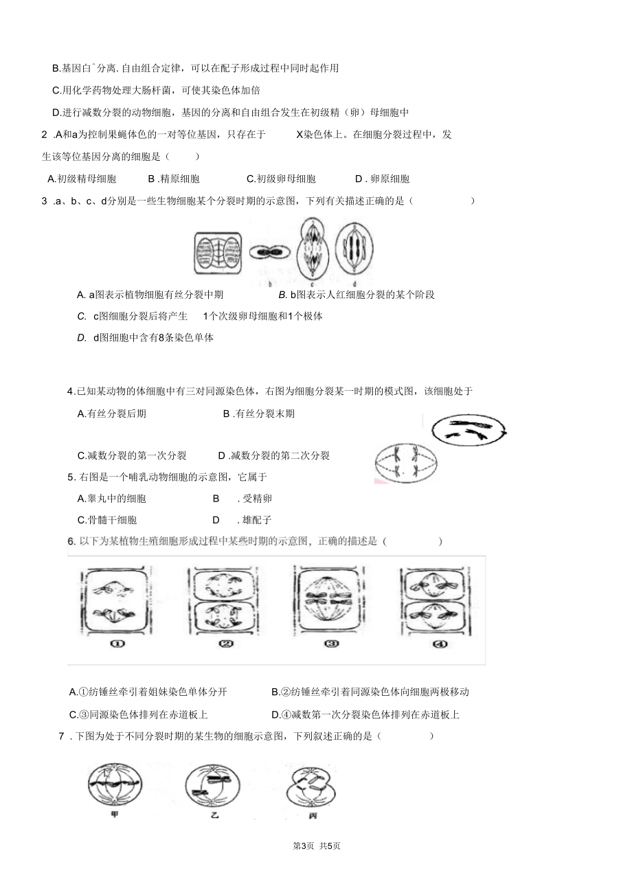 人教版高一必修二生物导学案：2.1.3减数分裂和受精作用.docx_第3页