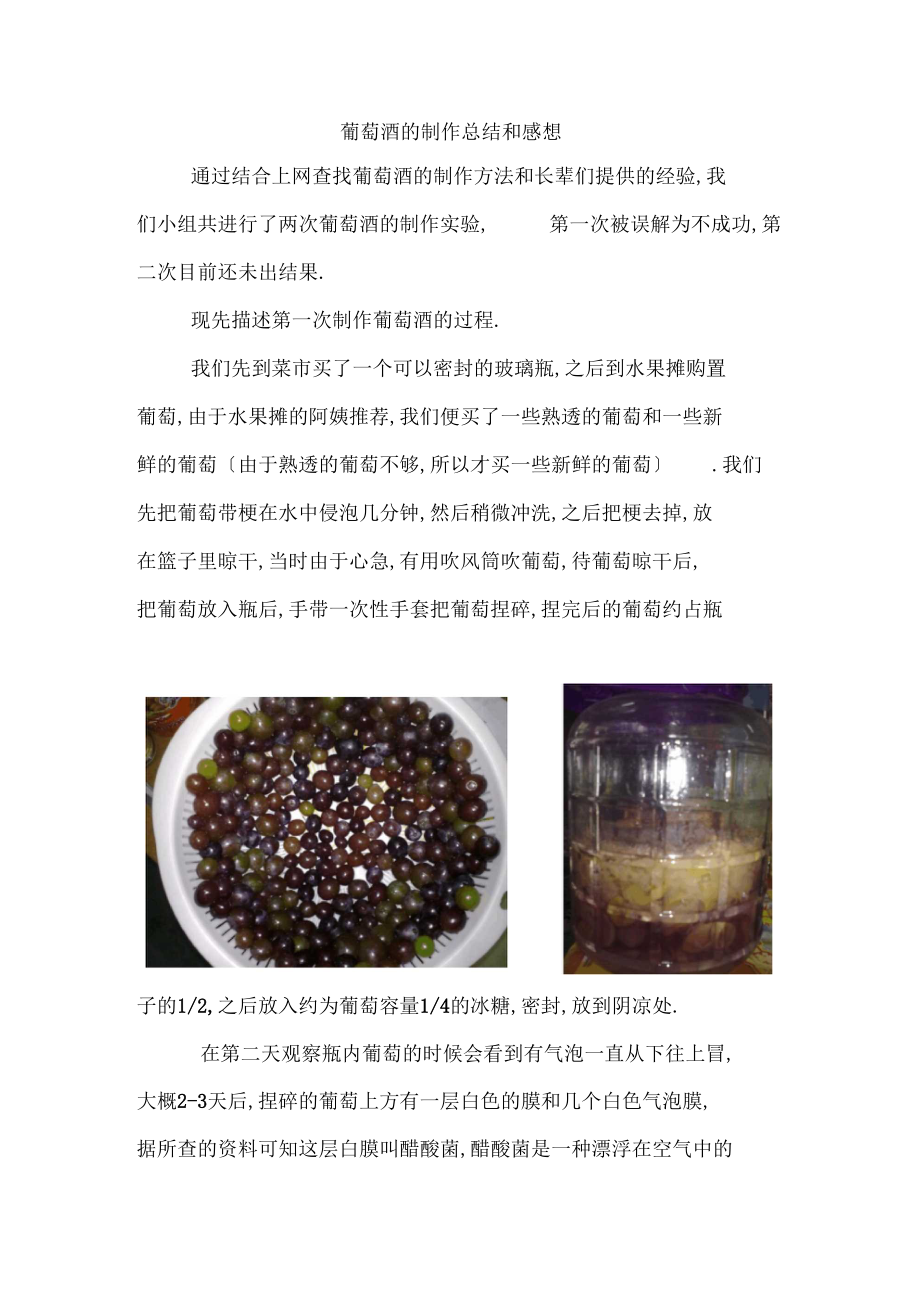 葡萄酒制作总结和感想.docx_第1页