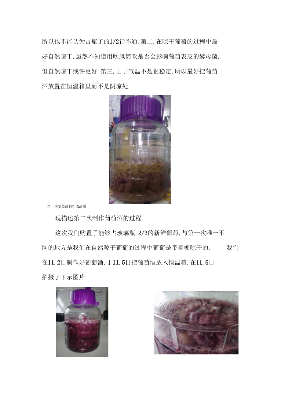 葡萄酒制作总结和感想.docx_第3页