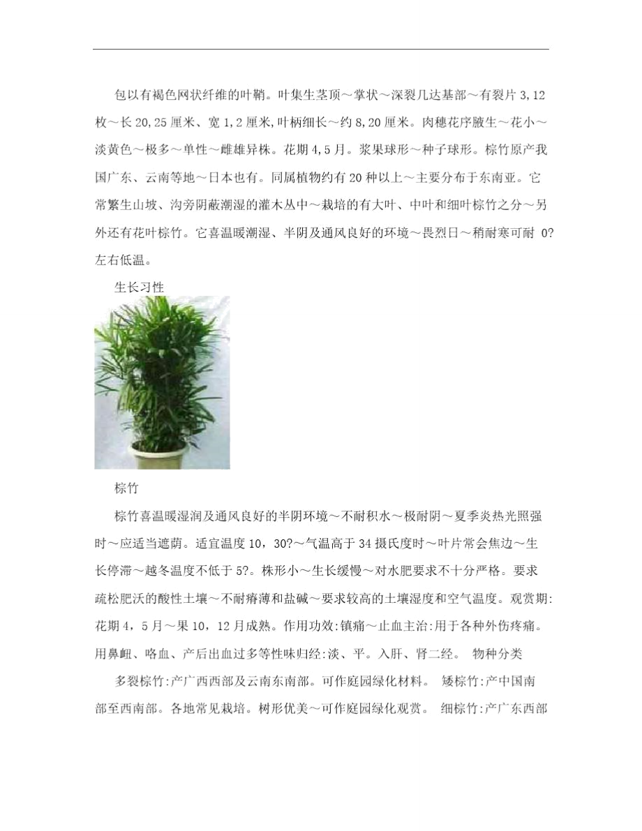 棕竹[优质文档].doc_第2页