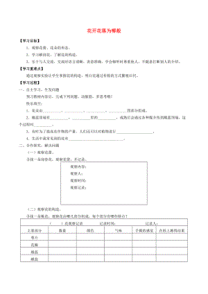 四年级科学下册 第2单元 生生不息 2.1 花开花落为哪般学案（无答案）（新版）湘科版-人教版小学四年级下册自然科学学案.docx