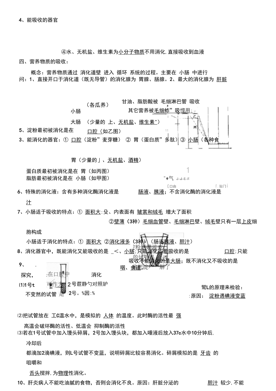 人教版七年级下册生物复习.docx_第3页