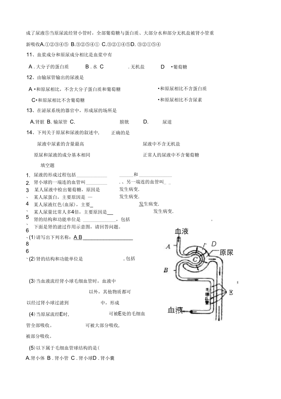 专题三人体废物的排出.doc_第2页