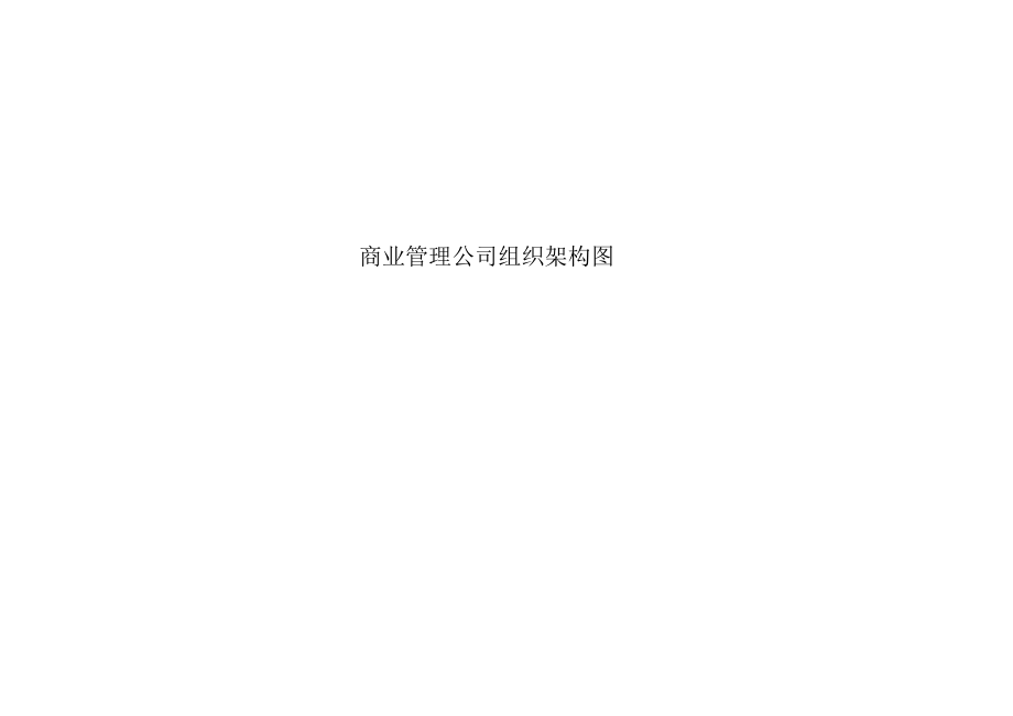 商业管理公司组织架构.docx_第1页