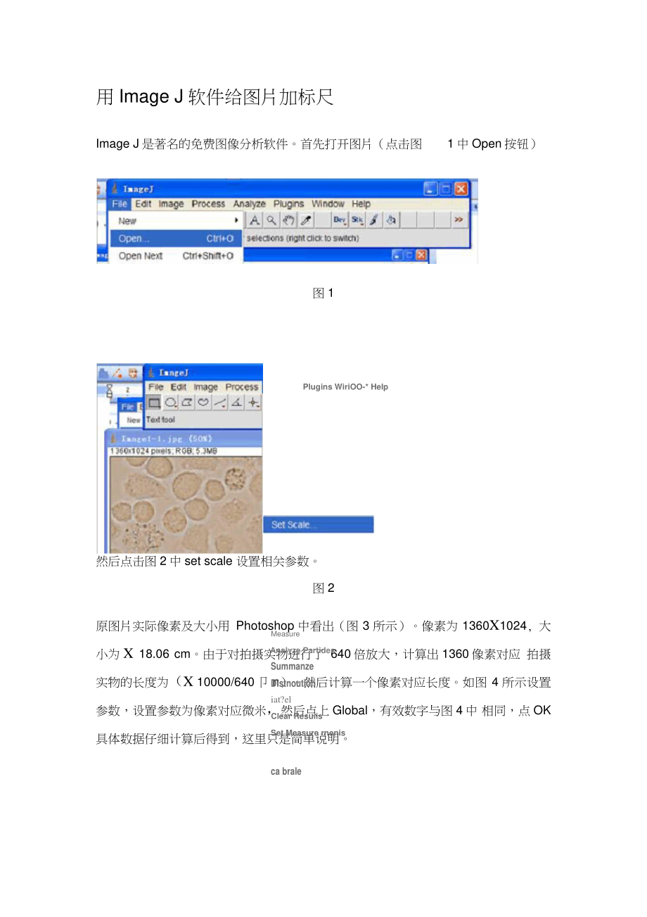 imagej软件给图片添加标尺.doc_第1页