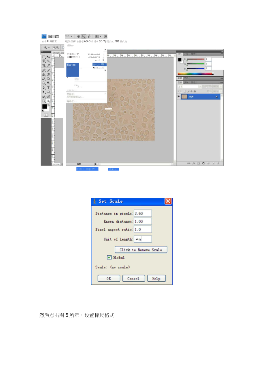 imagej软件给图片添加标尺.doc_第2页