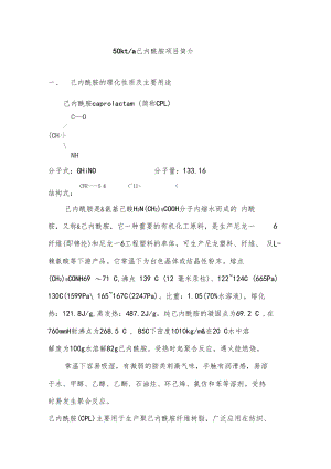 己内酰胺项目概述.docx