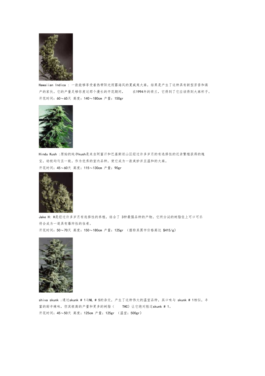 大麻种类,各种VIP!美丽的大麻叶!!绝美!!!!!!.docx_第3页