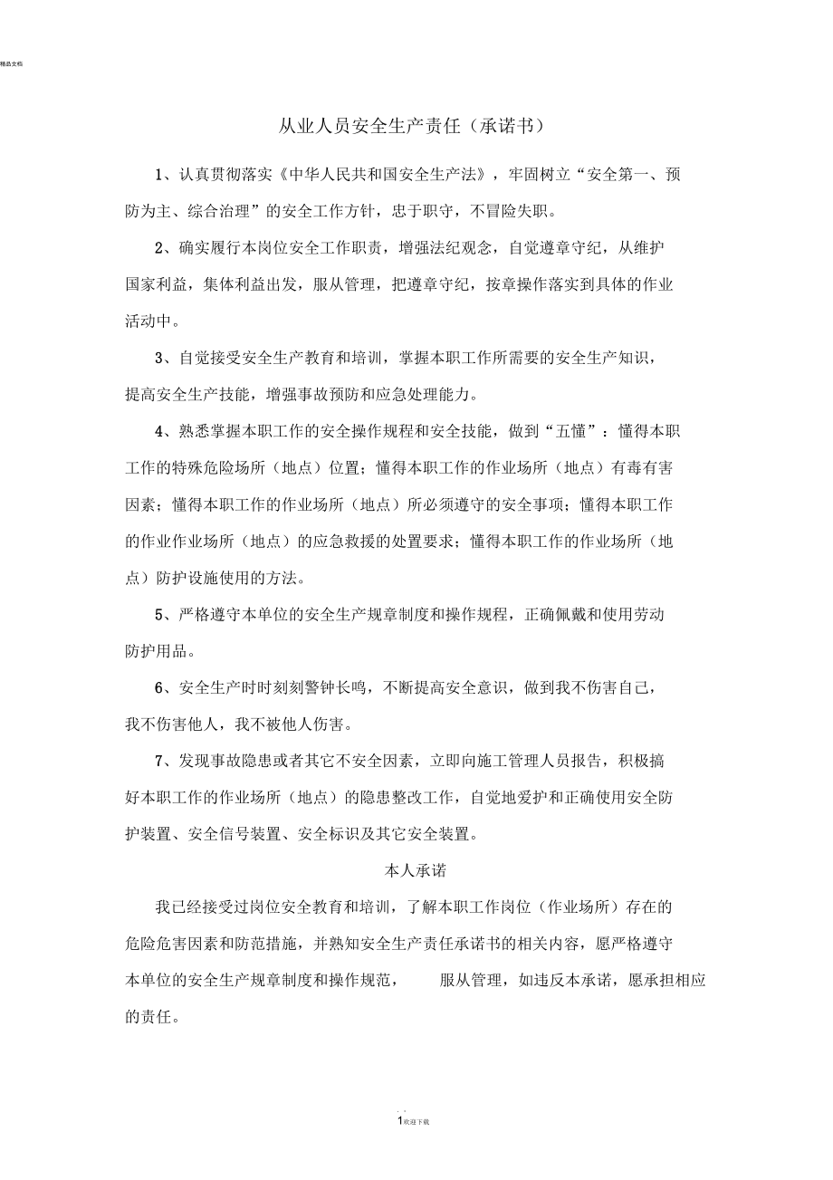 安全生产责任书(承诺书).docx_第1页