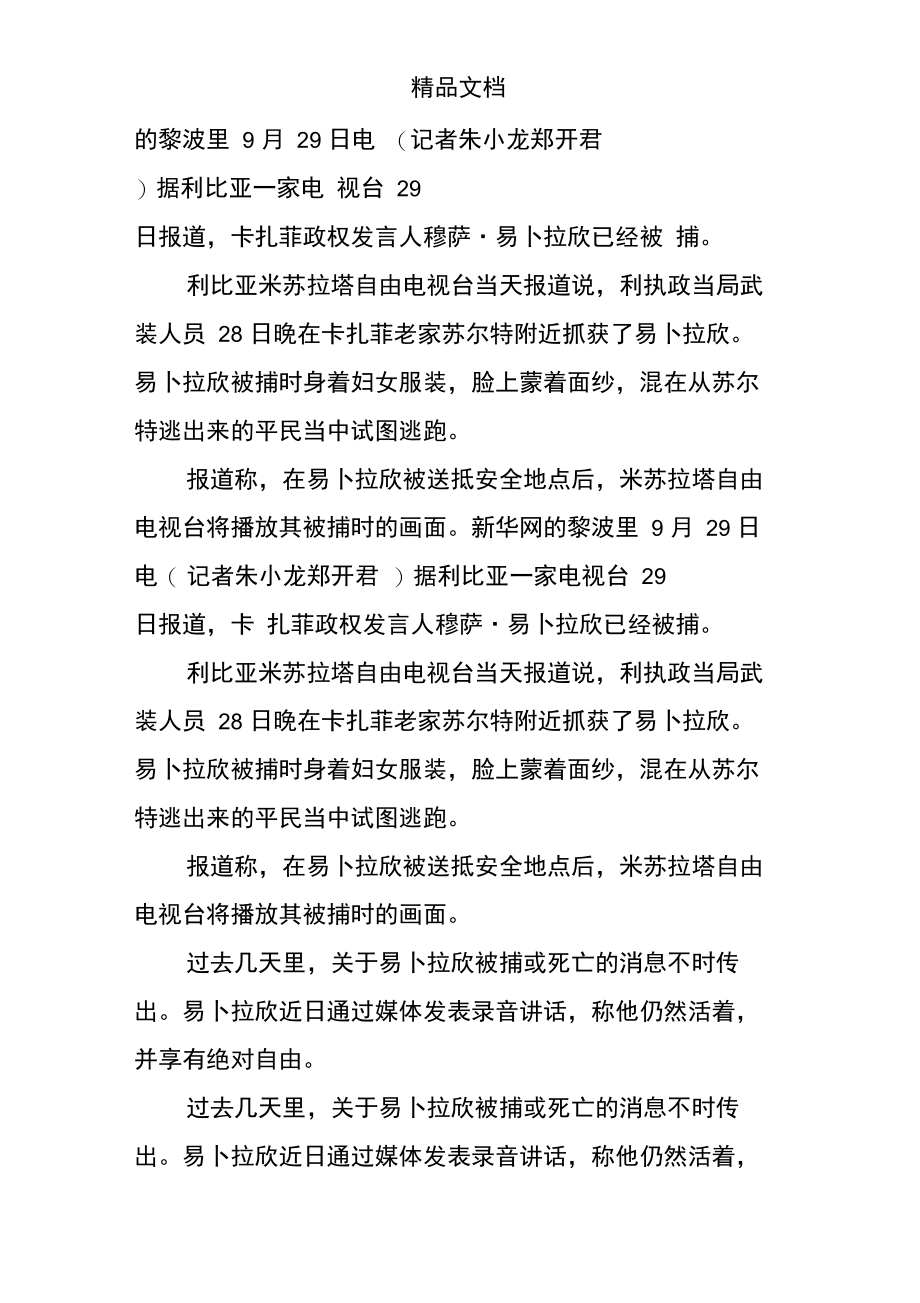 利比亚发言人.doc_第2页