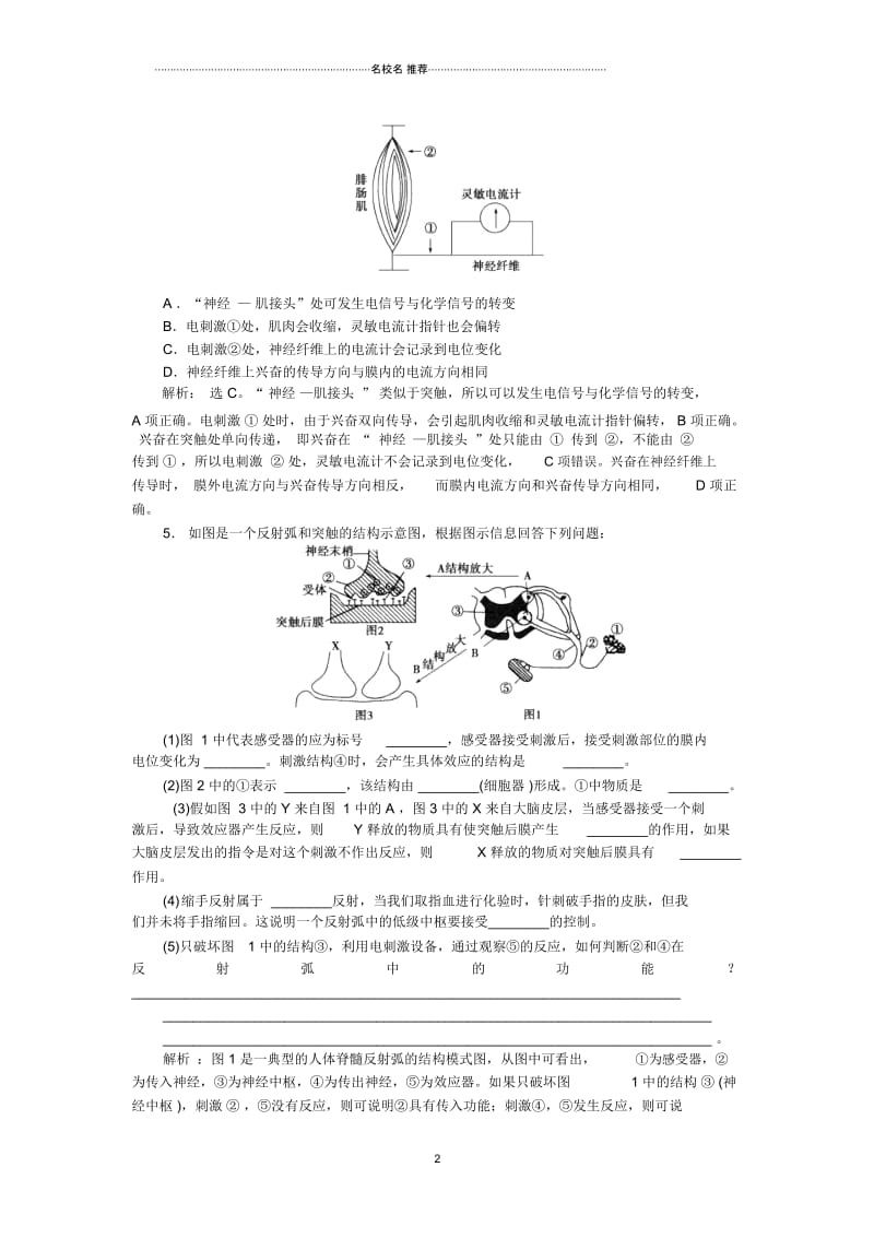 高中生物2.1通过神经系统的调节课时3提分专练同步训练人教版必修3.docx_第2页