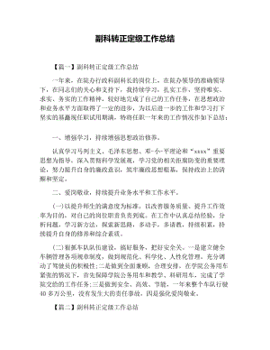 副科转正定级工作总结.docx