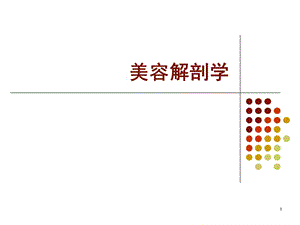 美容解剖学绪论PPT课件.ppt