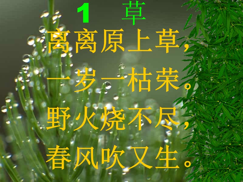 2、古诗草PPT课件.ppt_第1页