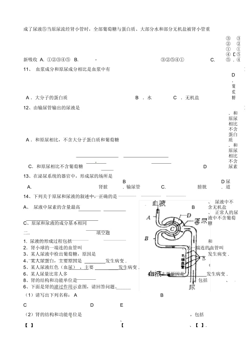 专题三人体废物的排出.docx_第2页