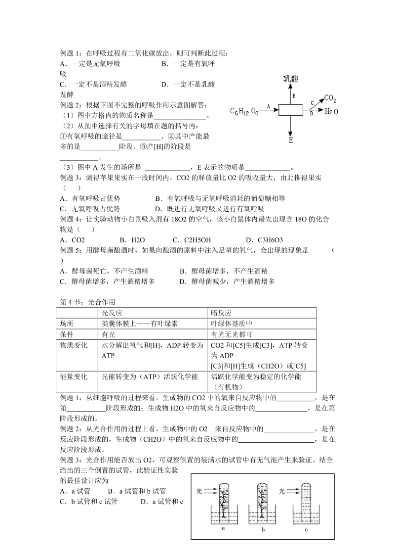 高中生物知识必修一复习提纲（第五章）.doc_第2页