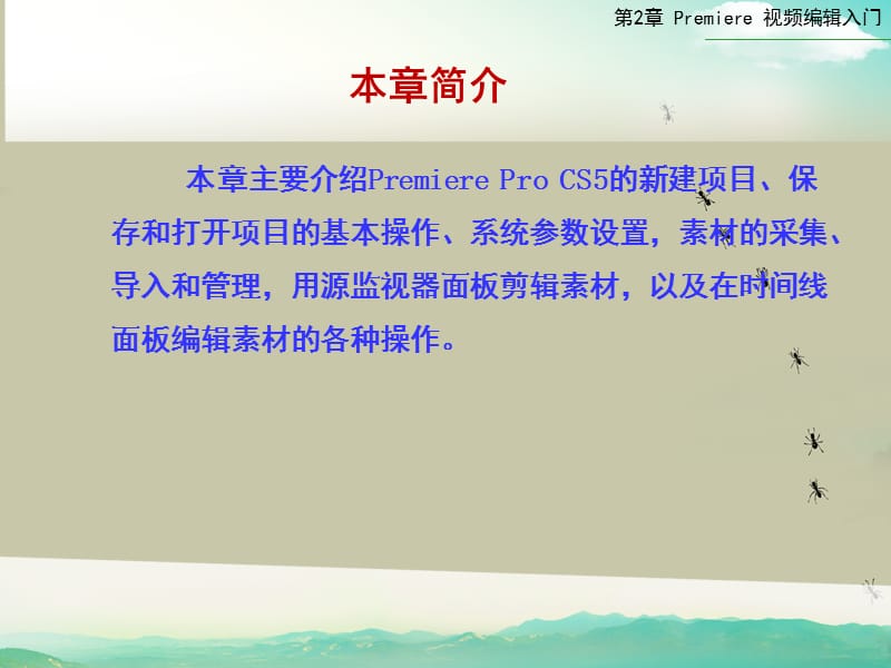 第2章Premiere视频编辑基础PPT课件.ppt_第2页