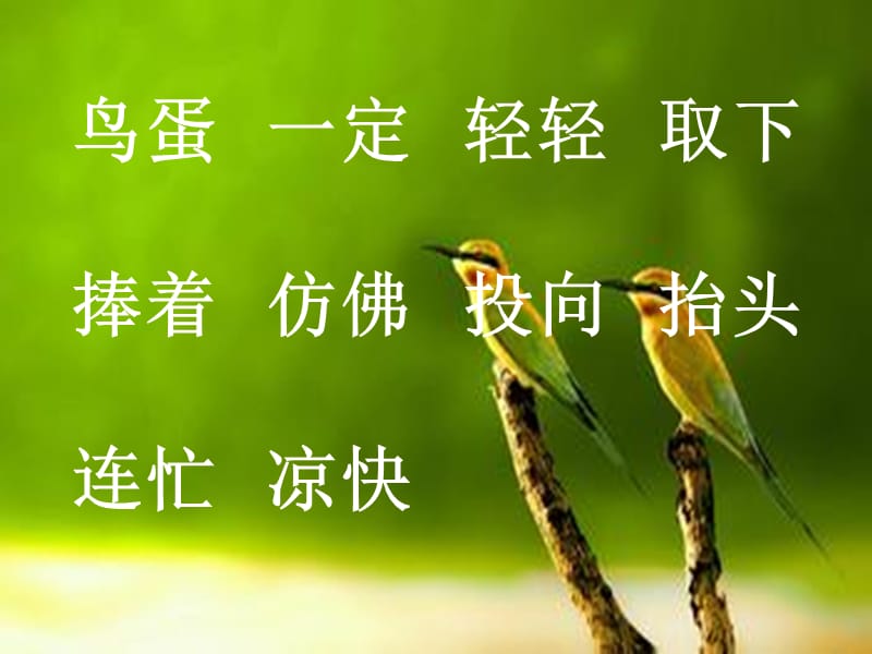 两只鸟蛋课件.ppt_第3页